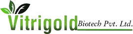 Vitrigold Biotech Pvt. Ltd.