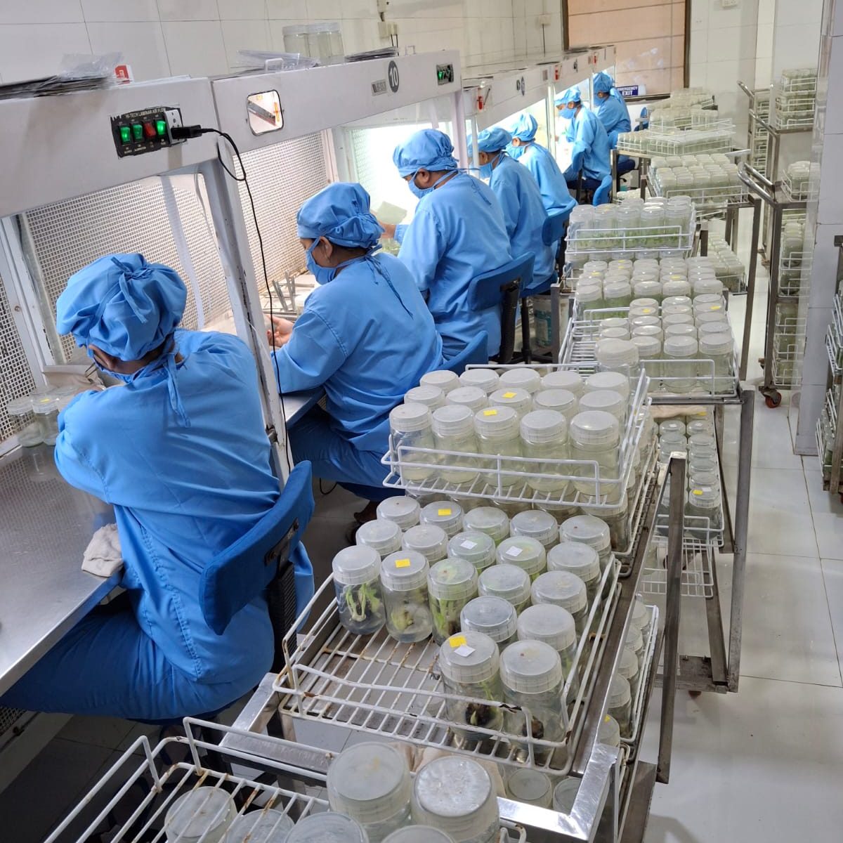 plant inoculation room photo plant inoculation room photo